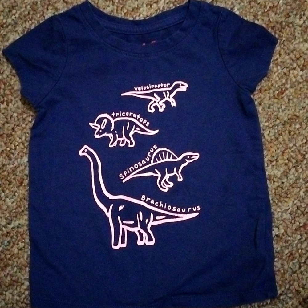 2T Cat and Jack tshirt